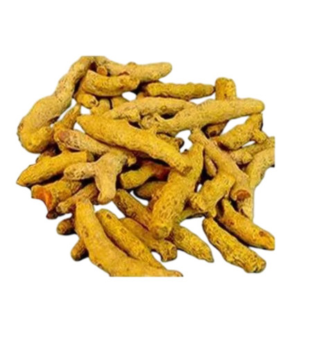 Salem Turmeric Finger