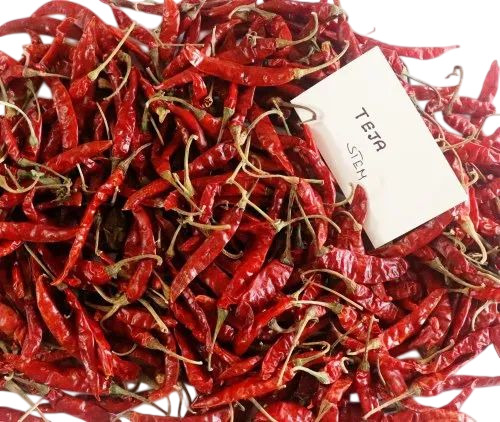 Teja Stem Dried Red Chilli