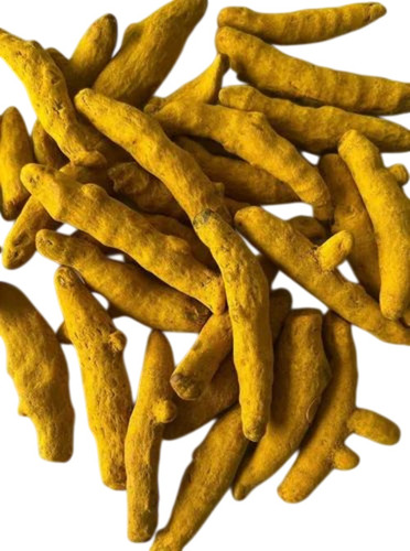 Turmeric Finger
