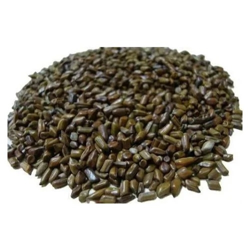 Cassia Tora Seeds