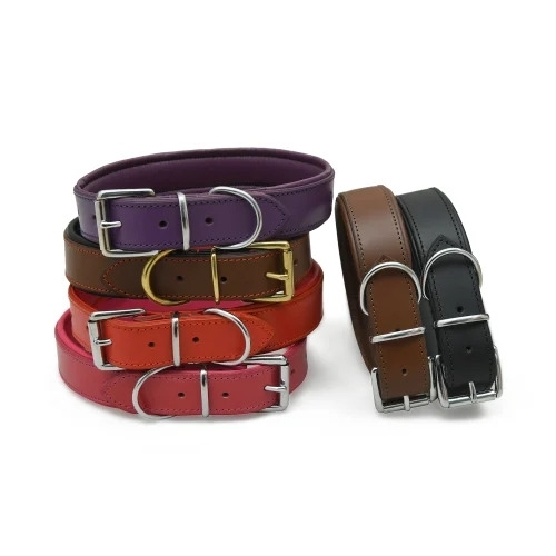 Harness Leather Dog Collar