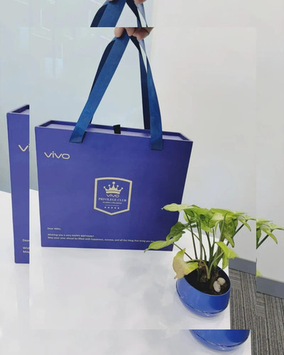 Sliding Paper Bag - Color: Multi