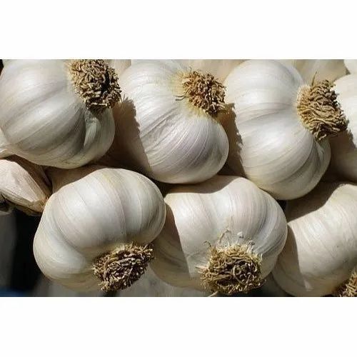 35 Mm Fresh Garlic - 50 Kg, Raw Round Bulbs | Cool & Dry Storage, Preserved Style