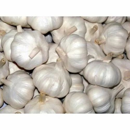 40 Mm Fresh Garlic