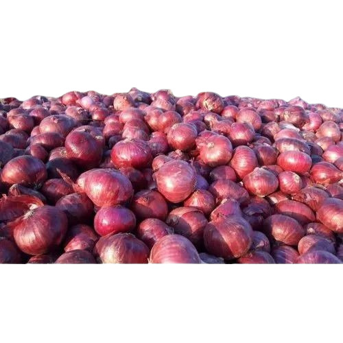 A Grade Red Onion