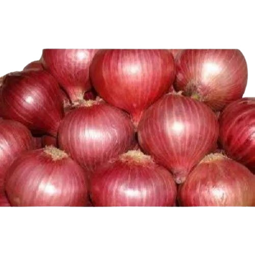Fresh Red Onion