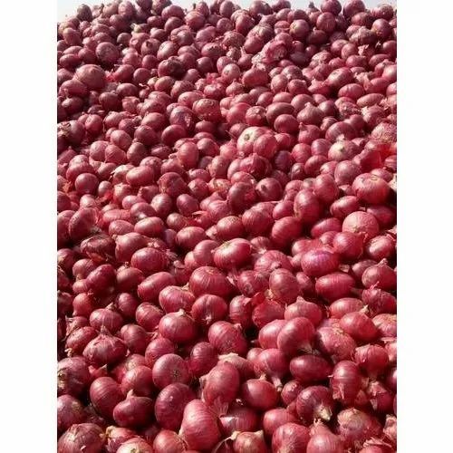 Red Onion - 50 kg Round Shape | Fresh Raw Preserved Cool & Dry Storage