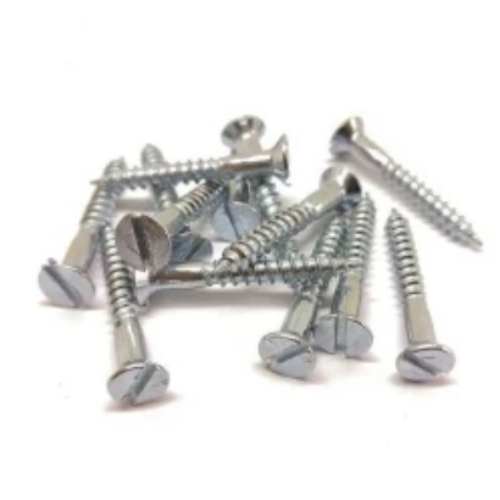 Ss Polished Wood Screws