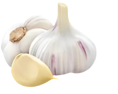 A Grade Fresh Garlic - Cultivation Type: Common