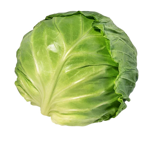 Fresh Cabbage