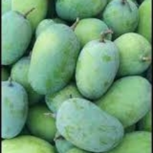 Fresh Mangos