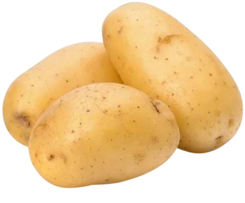 Fresh Potato - 50 kg Raw Oval Variety | Cool & Dry Preservation, Cooked Style, Customized Size