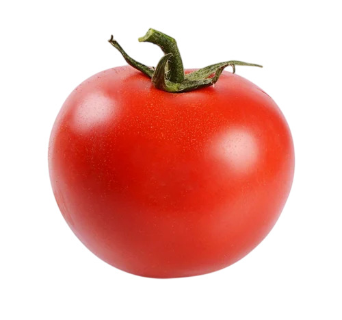 Fresh Tomato