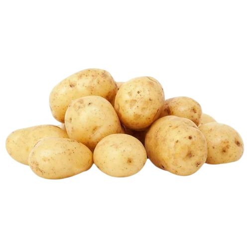 Natural Fresh Potato - 50 kg Packaging, Oval Shape, Raw Form, Cooked Style, Shelf Life 1 Month