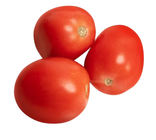 Red Tomato - 50 kg, Round Shape | Fresh, Raw, Cooked Style, Shelf Life 7-10 Days