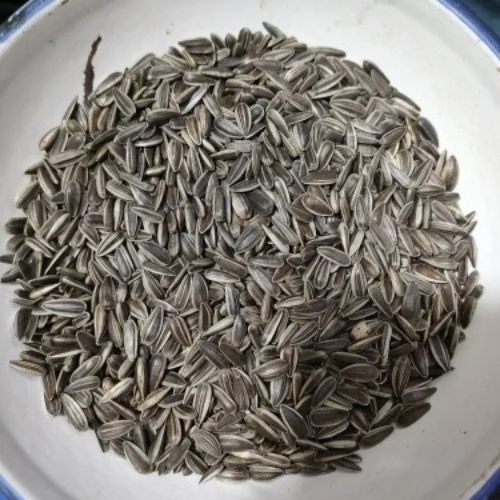 Black Sunflower Seeds