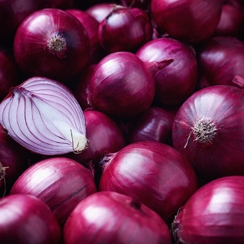 Red Onion 