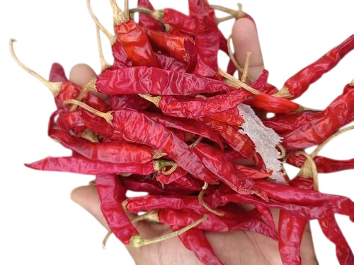 720 Dried Red Chilli