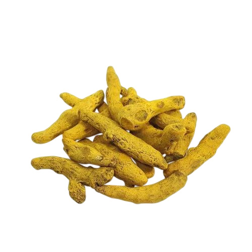 Dried Turmeric Finger