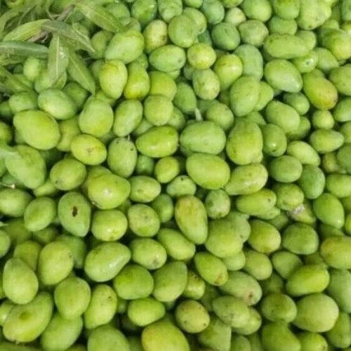 Banganapalli Mangoes