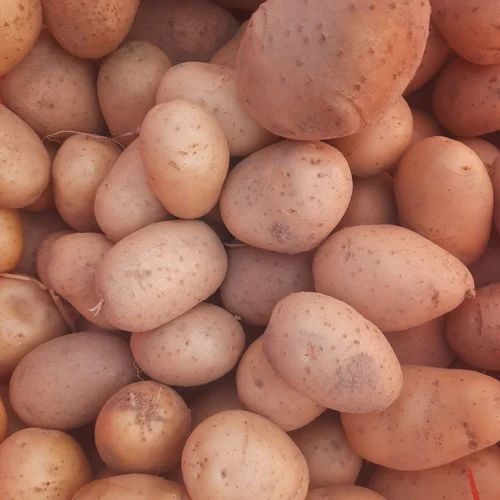 Chipsona Potato