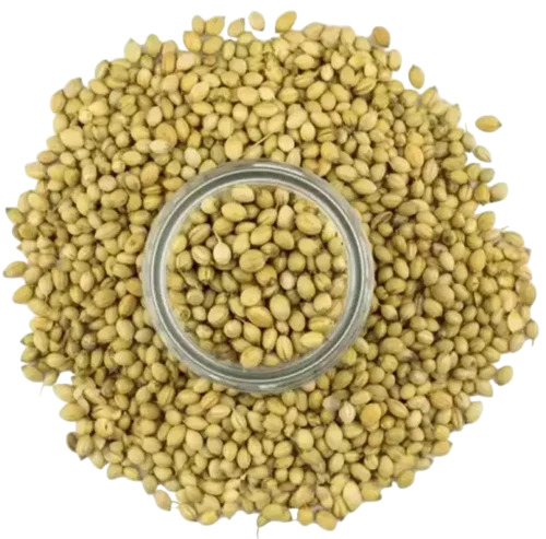 Dried Coriander
