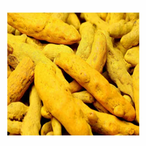 Dried Turmeric Finger - Color: Yellow
