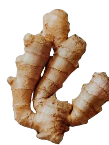 Fresh Ginger