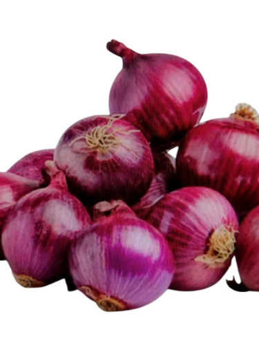 Fresh Red Onion