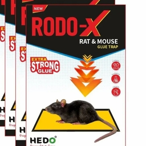 Rodo X Mouse Glue Trap