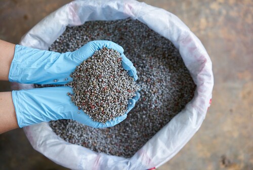 Bio Organic Fertilizer - Chemical Name: Ammonium Sulphate