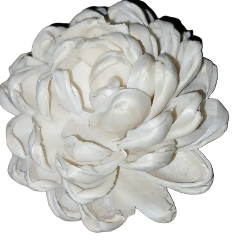 Curl Beauty Flower