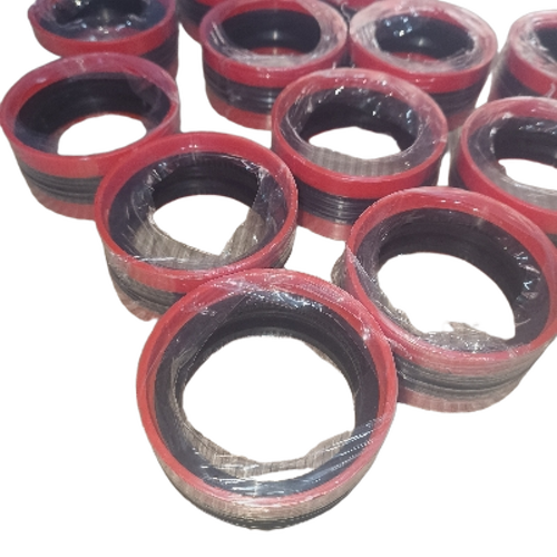 Dust Seal