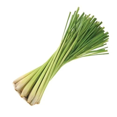 Pure Lemongrass Essential Oil