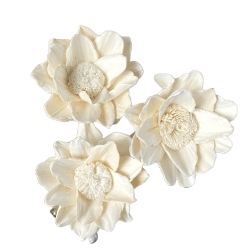 Sola Flower