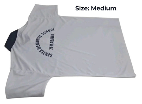 Boys Grey School T Shirt