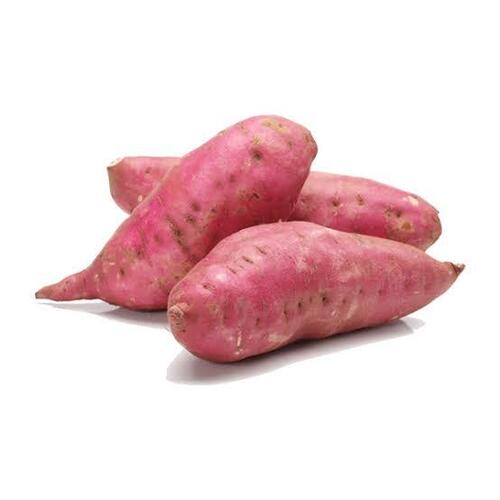 Sweet Potato - Cultivation Type: .
