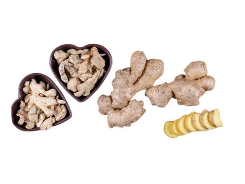 Fresh Ginger - Cultivation Type: Common