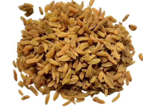 Golden Dried Raisin