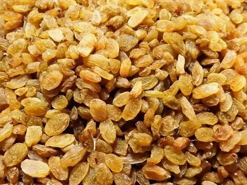 Golden Raisins