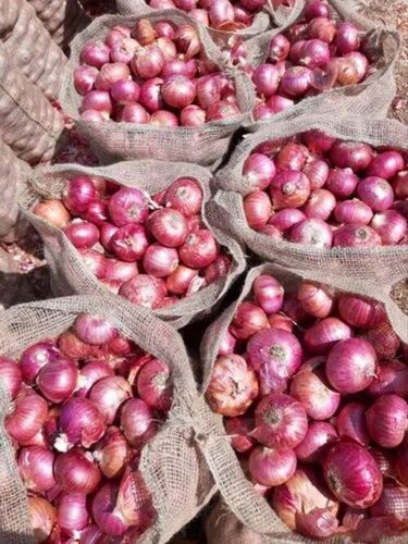 Nashik Shallots Onion