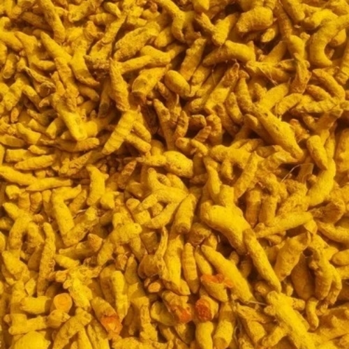 Raw Turmeric