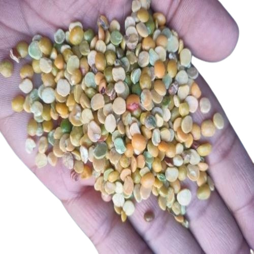 Arhar Dal Tur Pulses