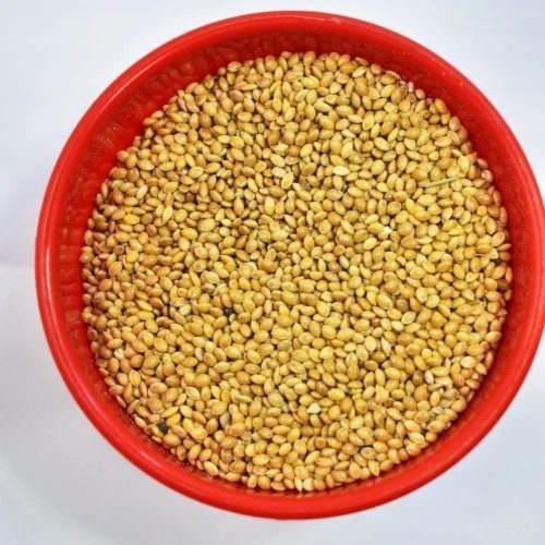 Little Yellow Millet Seeds - Whole Grain, Yellow, Gluten Free | Purity 99%, Grade A, Protein 9%