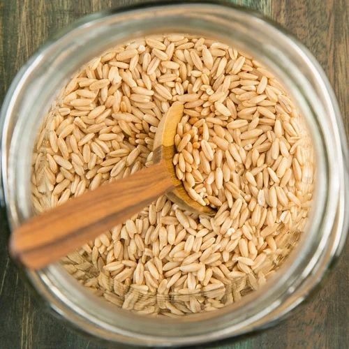 Organic Oat Seeds