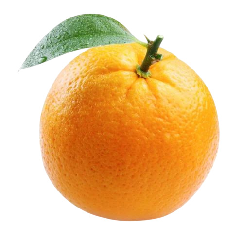Fresh Orange Fruit