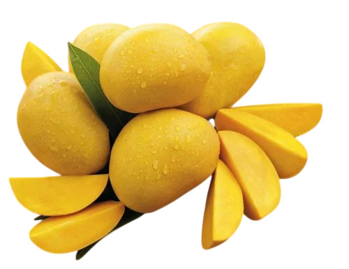 A Grade Alphonso Mango