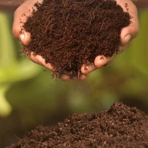 Brown Coconut Coir Pith Powder