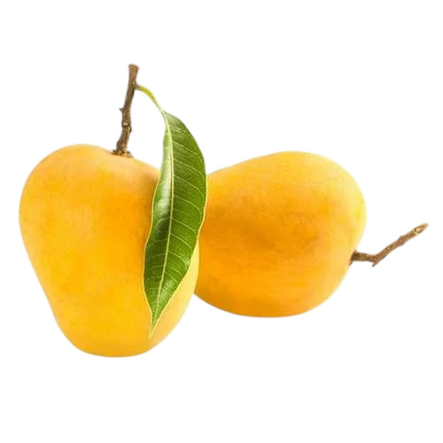 Fresh Alphonso Mango