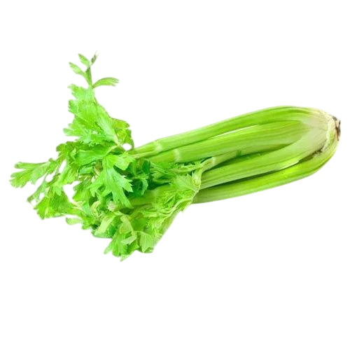 Fresh Celery